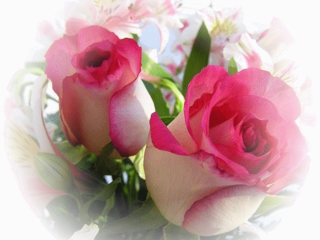 Image hébergée par Casimages.com : votre hébergeur d images simple et gratuit