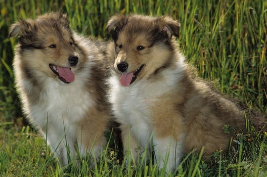 Image h�berg�e par Casimages.com : votre h�bergeur d images simple et gratuit