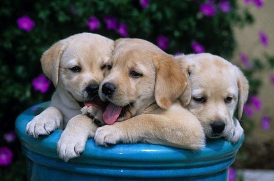 Image h�berg�e par Casimages.com : votre h�bergeur d images simple et gratuit