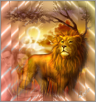 Image hberge par
Casimages.com : votre hbergeur d images simple et gratuit