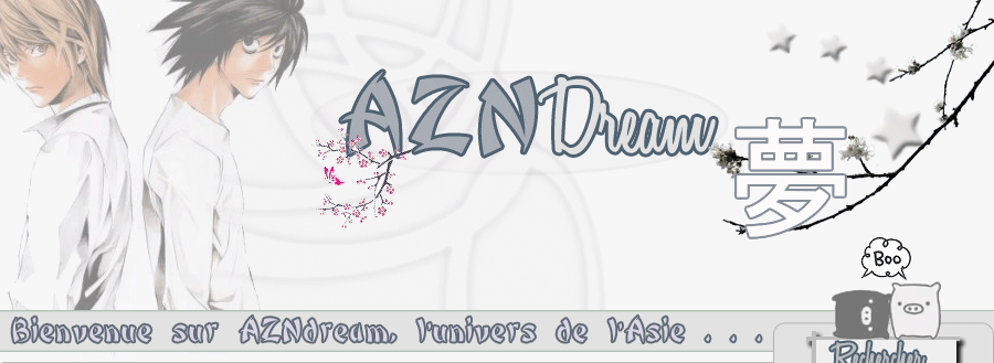 Bannière AZNdream