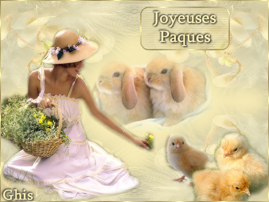 Image h�berg�e par Casimages.com : votre h�bergeur d images simple et gratuit