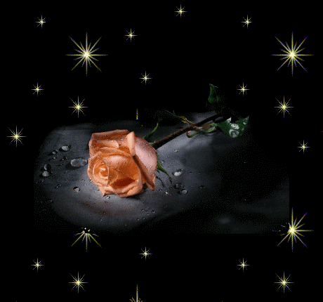 Image hébergée par Casimages.com : votre hébergeur d images simple et gratuit