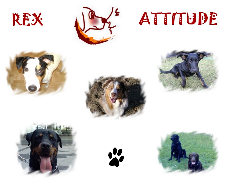 Image h&eacute;berg&eacute;e par Casimages.com : votre h&eacute;bergeur d images simple et gratuit