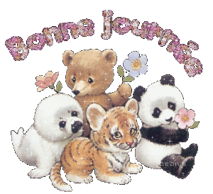 Image hébergée par Casimages.com : votre hébergeur d images simple et gratuit