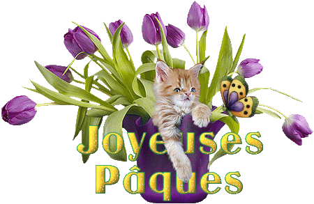 Image hébergée par Casimages.com : votre hébergeur d images simple et gratuit