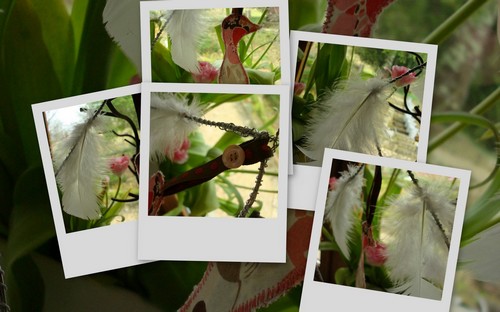 Image hébergée par Casimages.com : votre hébergeur d images simple et gratuit
