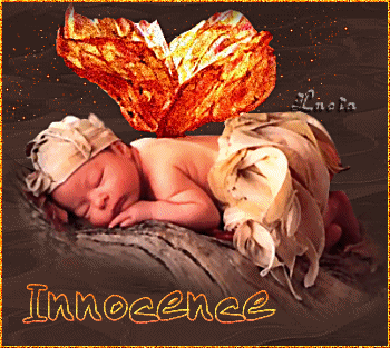 Image hébergée par Casimages.com : votre hébergeur d images simple et gratuit