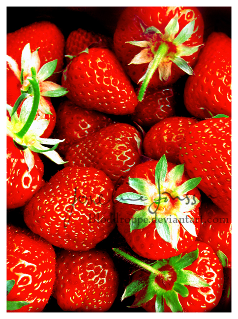 Image hébergée par Casimages.com : votre hébergeur d images simple et gratuit