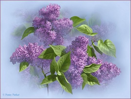 Image hébergée par Casimages.com : votre hébergeur d images simple et gratuit