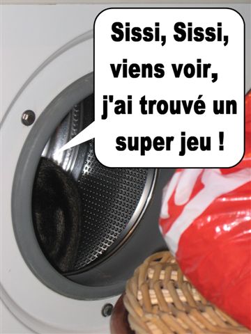 Image hébergée par Casimages.com : votre hébergeur d images simple et gratuit
