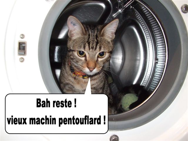 Image hébergée par Casimages.com : votre hébergeur d images simple et gratuit
