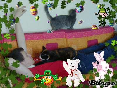Image hébergée par Casimages.com : votre hébergeur d images simple et gratuit