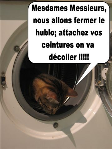 Image hébergée par Casimages.com : votre hébergeur d images simple et gratuit