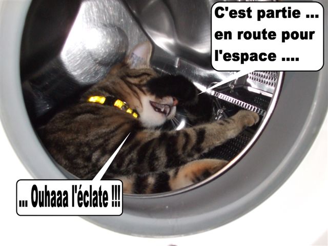 Image hébergée par Casimages.com : votre hébergeur d images simple et gratuit