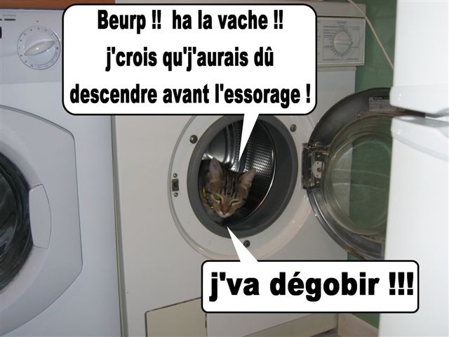 Image hébergée par Casimages.com : votre hébergeur d images simple et gratuit