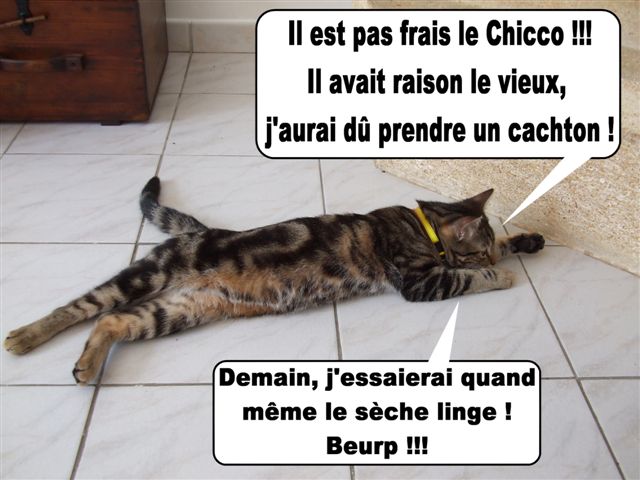 Image hébergée par Casimages.com : votre hébergeur d images simple et gratuit