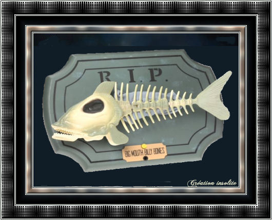 Image hébergée par Casimages.com : votre hébergeur d images simple et gratuit