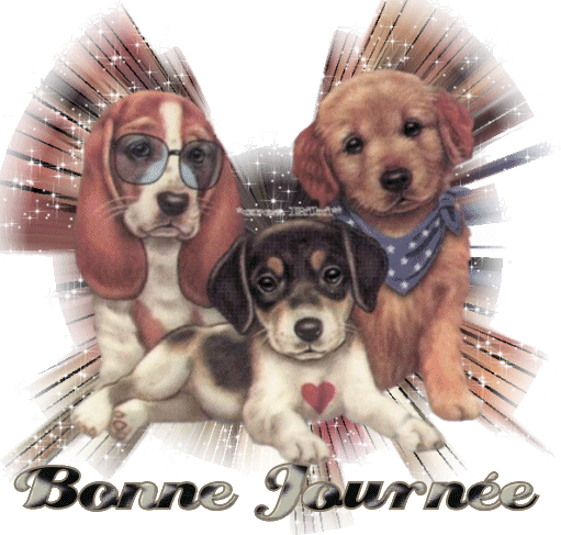 Image hberge par Casimages.com : votre hbergeur d images simple
et gratuit
