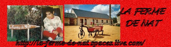 Image hébergée par Casimages.com : votre hébergeur d images simple et gratuit