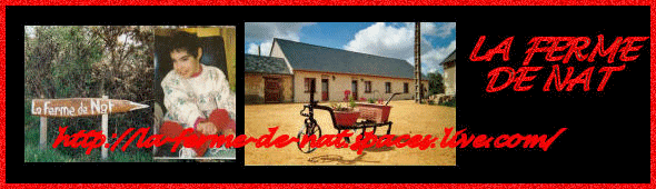 Image hébergée par Casimages.com : votre hébergeur d images simple et gratuit