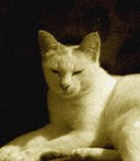 Image hébergée par Casimages.com : votre hébergeur d images simple et gratuit