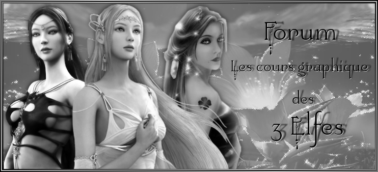 Les cours graphiques des 3 elfes