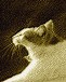 Image hébergée par Casimages.com : votre hébergeur d images simple et gratuit