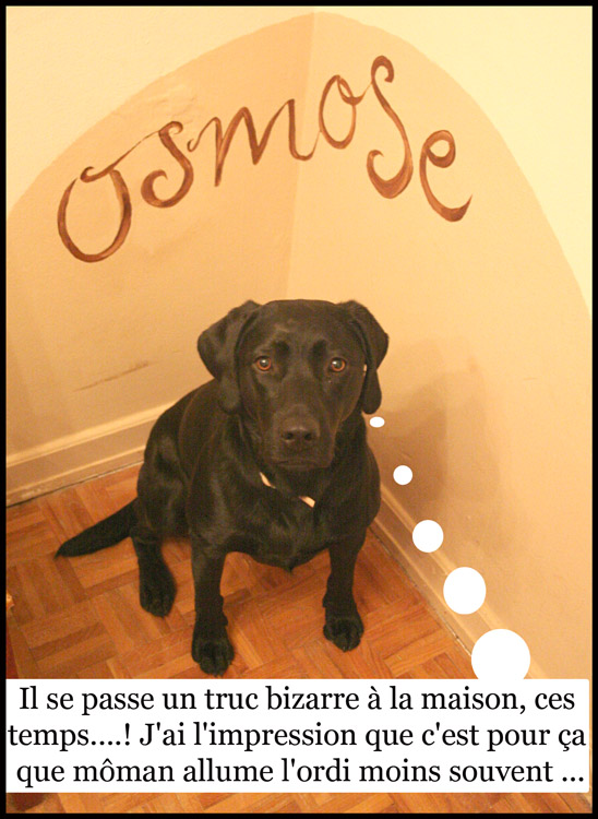 Image h�berg�e par Casimages.com : votre h�bergeur d images simple et gratuit