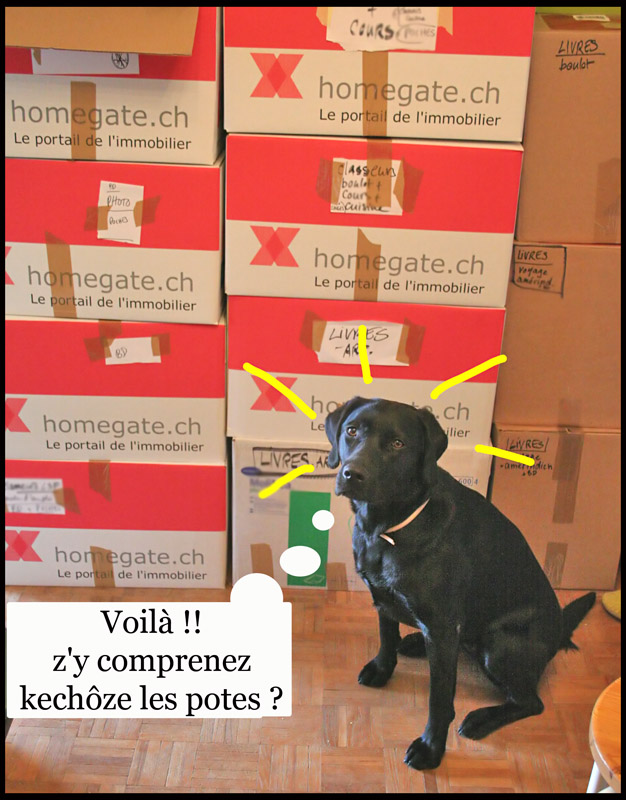 Image h�berg�e par Casimages.com : votre h�bergeur d images simple et gratuit