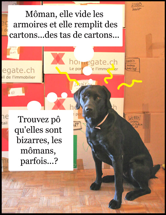 Image h�berg�e par Casimages.com : votre h�bergeur d images simple et gratuit