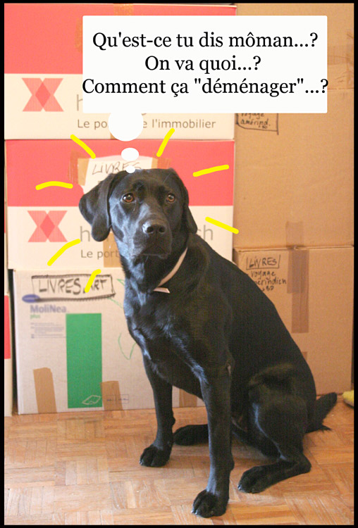 Image h�berg�e par Casimages.com : votre h�bergeur d images simple et gratuit