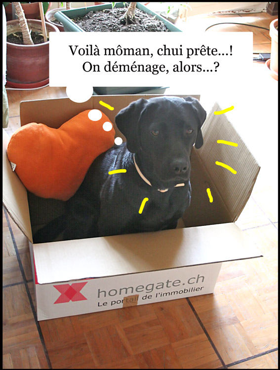 Image h�berg�e par Casimages.com : votre h�bergeur d images simple et gratuit