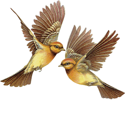 Image hébergée par Casimages.com : votre hébergeur d images simple et gratuit