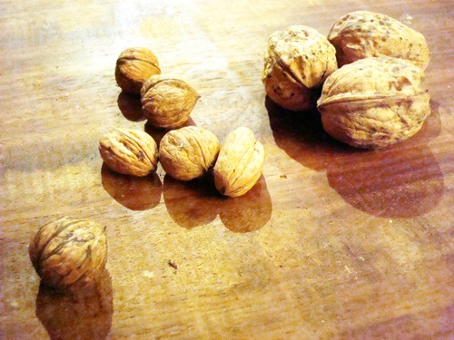 Image hébergée par Casimages.com : votre hébergeur d images simple et gratuit