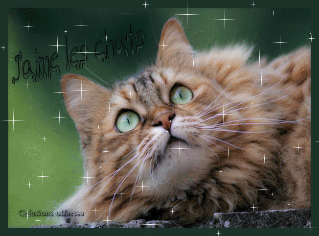 Image h�berg�e par Casimages.com : votre h�bergeur d images simple et gratuit
