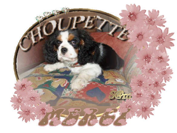 Image h�berg�e par Casimages.com : votre h�bergeur d images simple et gratuit