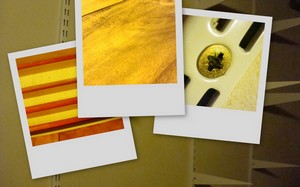 Image hébergée par Casimages.com : votre hébergeur d images simple et gratuit