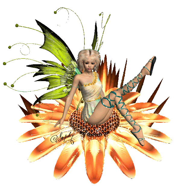 Image h�berg�e par Casimages.com : votre h�bergeur d images simple et gratuit