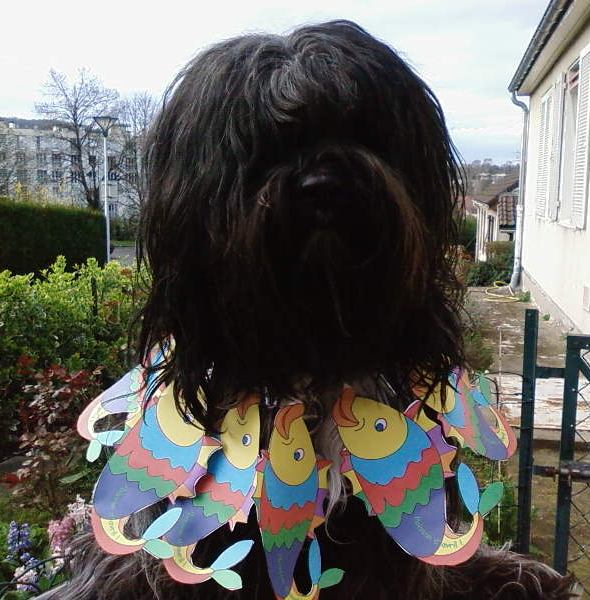Image h�berg�e par Casimages.com : votre h�bergeur d images simple et gratuit