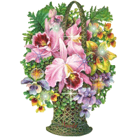 Image hberge par Casimages.com : votre hbergeur d images simple
et gratuit