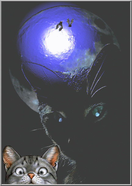 Image hébergée par Casimages.com : votre hébergeur d images simple et gratuit