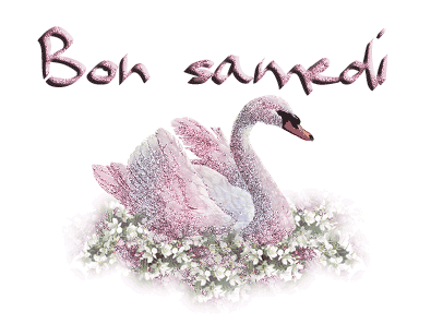 Image hébergée par Casimages.com : votre hébergeur d images simple et gratuit