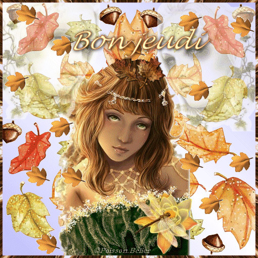 Image hébergée par Casimages.com : votre hébergeur d images simple et gratuit