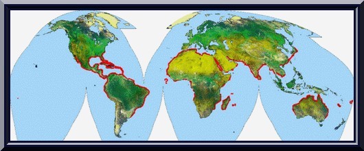 carte de repartition du grand requin marteau