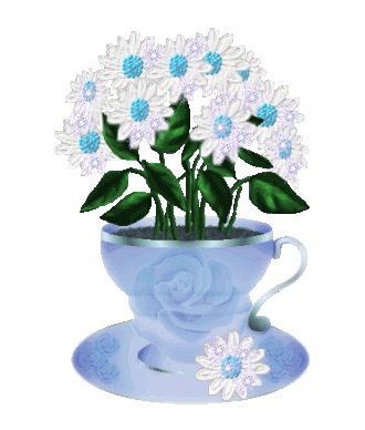 Image h�berg�e par Casimages.com : votre h�bergeur d images simple et gratuit