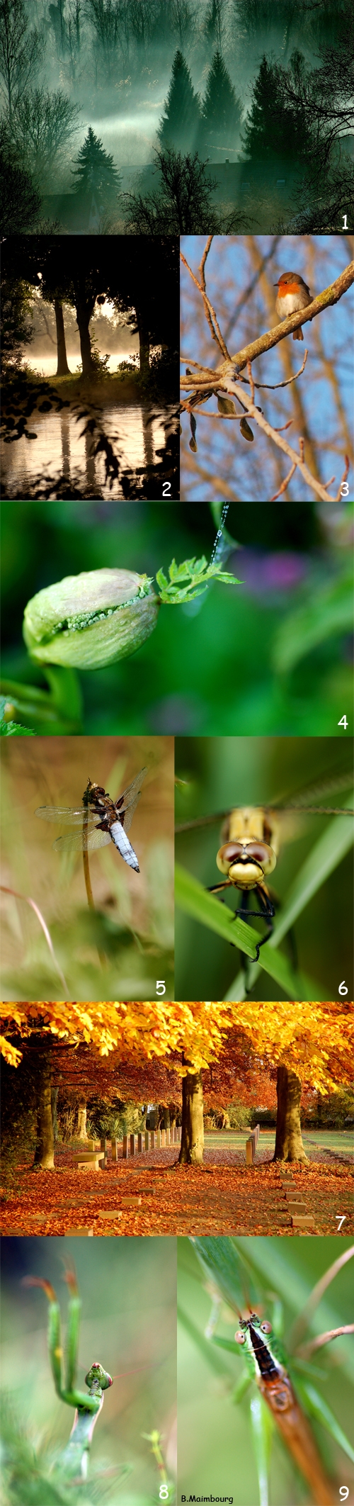 Image hébergée par Casimages.com : votre hébergeur d images simple et gratuit
