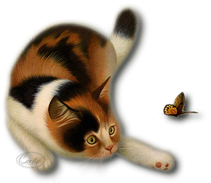 Image h�berg�e par Casimages.com : votre h�bergeur d images simple et gratuit