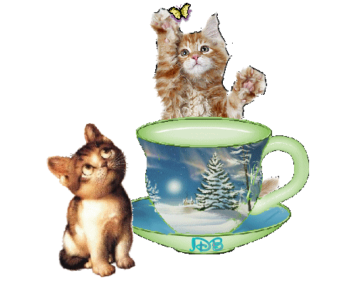 Image h�berg�e par Casimages.com : votre h�bergeur d images simple et gratuit
