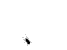 http://nsm01.casimages.com/img/2008/04/04/08040410471974511908445.gif